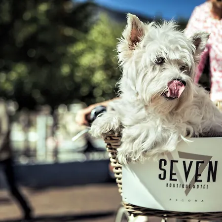 Seven Boutique Hotel 3*