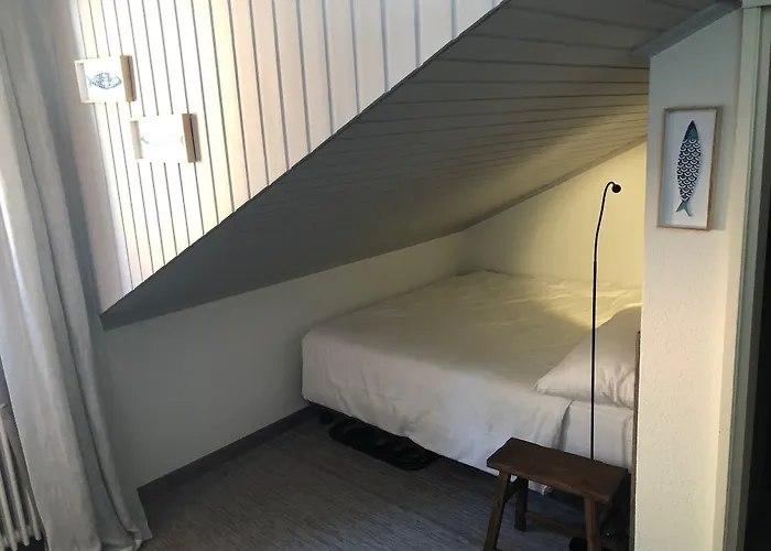 호텔 Seven Boutique 3*