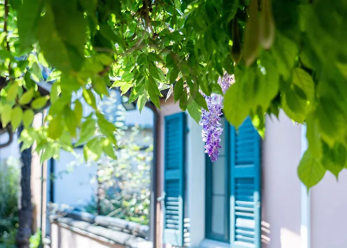 Seven Boutique 3* Аскона